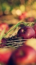 Äpfel,Obst,Pflanzen für BlackBerry Torch 9800