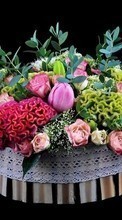 Lade kostenlos Hintergrundbilder Pflanzen,Blumen,Hintergrund,Bouquets für Handy oder Tablet herunter.