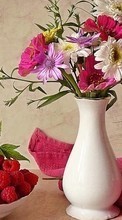 Lade kostenlos Hintergrundbilder Pflanzen,Blumen,Bouquets,Still-Leben für Handy oder Tablet herunter.