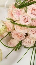 Lade kostenlos Hintergrundbilder Pflanzen,Blumen,Roses,Bouquets,Hochzeit,Feiertage für Handy oder Tablet herunter.