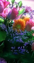 Lade kostenlos Hintergrundbilder Pflanzen,Blumen,Bouquets für Handy oder Tablet herunter.