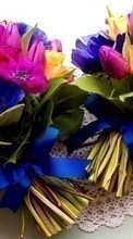 Lade kostenlos Hintergrundbilder Bouquets,Pflanzen,Blumen für Handy oder Tablet herunter.