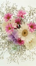 Bouquets,Blumen,Pflanzen für HTC One X