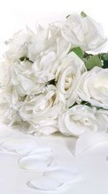 Lade kostenlos Hintergrundbilder Bouquets,Blumen,Pflanzen für Handy oder Tablet herunter.