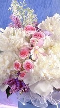 Lade kostenlos Hintergrundbilder Bouquets,Blumen,Pflanzen für Handy oder Tablet herunter.