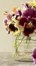 Bouquets,Blumen,Pflanzen für Samsung Galaxy Fame