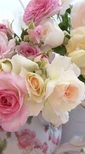 Lade kostenlos Hintergrundbilder Pflanzen,Blumen,Roses,Bouquets für Handy oder Tablet herunter.