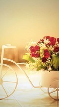 Lade kostenlos Hintergrundbilder Bouquets,Pflanzen,Blumen,Roses für Handy oder Tablet herunter.