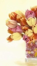 Lade kostenlos Hintergrundbilder Bouquets,Blumen,Pflanzen,Tulpen für Handy oder Tablet herunter.