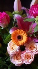 Lade kostenlos Hintergrundbilder Bouquets,Blumen,Tiere für Handy oder Tablet herunter.