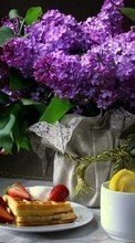 Blumen,Lebensmittel,Objekte,Pflanzen für LG Optimus 3D P920