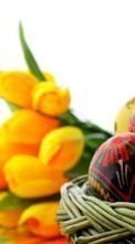 Lade kostenlos Hintergrundbilder Blumen,Eggs,Ostern,Feiertage für Handy oder Tablet herunter.