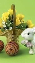 Lade kostenlos 240x320 Hintergrundbilder Blumen,Eggs,Ostern,Feiertage,Pflanzen für Handy oder Tablet herunter.