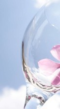 Blumen,Hintergrund,Sky,Geschirr für Sony Xperia Z5