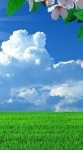Lade kostenlos Hintergrundbilder Landschaft,Blumen,Grass,Felder,Sky,Clouds für Handy oder Tablet herunter.