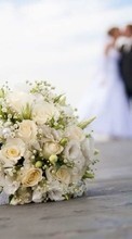 Blumen,Feiertage,Pflanzen,Hochzeit