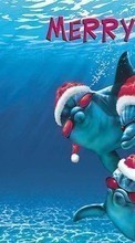 Lade kostenlos Hintergrundbilder Humor,Feiertage,Delfine,Sea,Neujahr,Weihnachten,Fische für Handy oder Tablet herunter.
