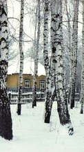 Landschaft,Winterreifen,Häuser,Bäume für Apple iPhone 6s