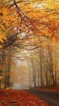 Lade kostenlos Hintergrundbilder Bäume,Roads,Herbst,Blätter,Landschaft für Handy oder Tablet herunter.