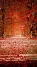 Lade kostenlos Hintergrundbilder Landschaft,Bäume,Roads,Herbst,Blätter für Handy oder Tablet herunter.