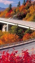 Lade kostenlos 480x800 Hintergrundbilder Landschaft,Bridges,Bäume,Roads,Herbst für Handy oder Tablet herunter.