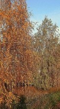 Lade kostenlos 720x1280 Hintergrundbilder Landschaft,Bäume,Roads,Herbst für Handy oder Tablet herunter.
