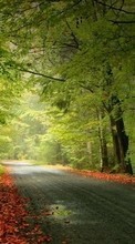 Lade kostenlos 1080x1920 Hintergrundbilder Landschaft,Bäume,Roads,Herbst für Handy oder Tablet herunter.