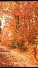 Lade kostenlos Hintergrundbilder Landschaft,Bäume,Roads,Herbst für Handy oder Tablet herunter.