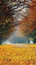 Landschaft,Bäume,Roads,Herbst für Samsung Galaxy S Duos 2