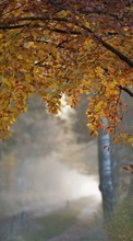 Landschaft,Bäume,Roads,Herbst für Sony Ericsson Xperia Arc