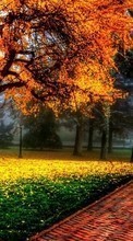 Lade kostenlos Hintergrundbilder Herbst,Landschaft,Bäume,Roads für Handy oder Tablet herunter.