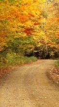 Lade kostenlos Hintergrundbilder Bäume,Roads,Herbst,Landschaft für Handy oder Tablet herunter.