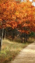Lade kostenlos Hintergrundbilder Bäume,Roads,Herbst,Landschaft für Handy oder Tablet herunter.