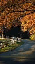 Lade kostenlos 240x320 Hintergrundbilder Landschaft,Bäume,Roads,Herbst für Handy oder Tablet herunter.