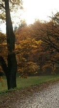 Lade kostenlos 1280x800 Hintergrundbilder Landschaft,Bäume,Roads,Herbst für Handy oder Tablet herunter.