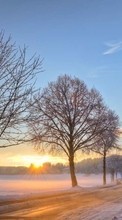 Lade kostenlos Hintergrundbilder Landschaft,Winterreifen,Bäume,Sunset,Roads,Schnee für Handy oder Tablet herunter.