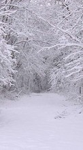 Lade kostenlos Hintergrundbilder Landschaft,Winterreifen,Bäume,Roads,Schnee für Handy oder Tablet herunter.