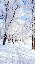 Lade kostenlos Hintergrundbilder Schnee,Landschaft,Winterreifen,Bäume,Roads für Handy oder Tablet herunter.