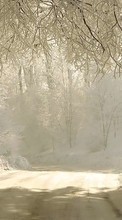 Lade kostenlos Hintergrundbilder Winterreifen,Bäume,Roads,Schnee,Landschaft für Handy oder Tablet herunter.