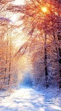 Lade kostenlos Hintergrundbilder Landschaft,Winterreifen,Bäume,Roads,Sun für Handy oder Tablet herunter.