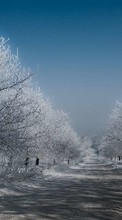 Lade kostenlos Hintergrundbilder Bäume,Roads,Landschaft,Winterreifen für Handy oder Tablet herunter.