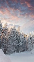 Lade kostenlos Hintergrundbilder Landschaft,Winterreifen,Bäume,Mountains,Schnee,Tannenbaum für Handy oder Tablet herunter.