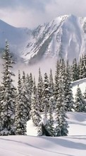 Lade kostenlos Hintergrundbilder Landschaft,Winterreifen,Bäume,Mountains,Tannenbaum für Handy oder Tablet herunter.