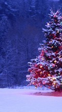 Lade kostenlos Hintergrundbilder Feiertage,Landschaft,Bäume,Neujahr,Tannenbaum,Weihnachten für Handy oder Tablet herunter.