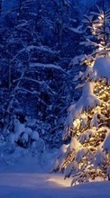 Feiertage,Landschaft,Winterreifen,Bäume,Neujahr,Schnee,Tannenbaum,Weihnachten für Lenovo K4 Note