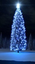 Lade kostenlos Hintergrundbilder Feiertage,Bäume,Neujahr,Tannenbaum,Weihnachten für Handy oder Tablet herunter.