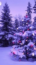 Lade kostenlos 1024x768 Hintergrundbilder Feiertage,Winterreifen,Bäume,Neujahr,Schnee,Tannenbaum,Weihnachten für Handy oder Tablet herunter.