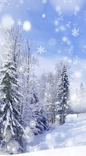 Lade kostenlos Hintergrundbilder Landschaft,Winterreifen,Bäume,Schnee,Tannenbaum für Handy oder Tablet herunter.