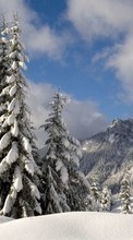 Landschaft,Winterreifen,Bäume,Schnee,Tannenbaum für Sony Xperia E1