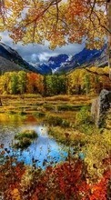 Lade kostenlos Hintergrundbilder Bäume,Mountains,Herbst,Birken,Landschaft,Flüsse für Handy oder Tablet herunter.